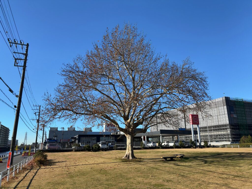 市原市「八幡宿」駅周辺の公園紹介｜宮下公園
