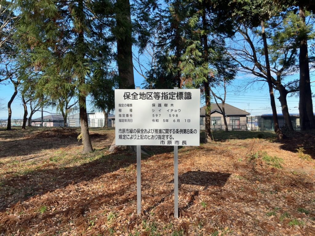 市原市神社紹介｜上下諏訪神社