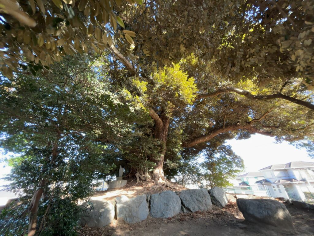 市原市神社紹介｜上下諏訪神社