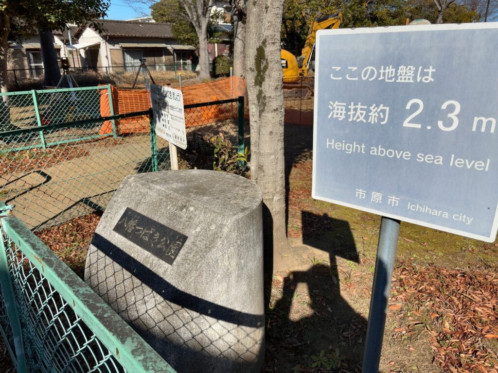 市原市｜八幡つばき公園は改修工事中（2026年3月4日まで）
八幡つばき公園は改修工事中（2026年3月4日まで