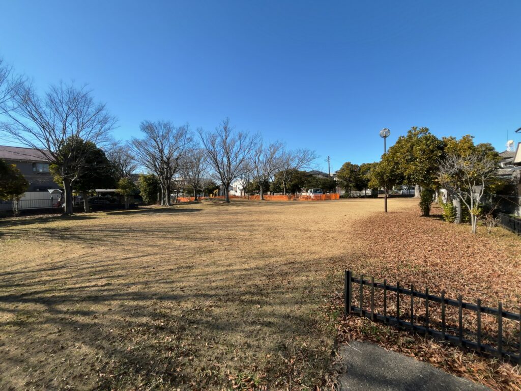 市原市｜八幡つばき公園は改修工事中（2026年3月4日まで）
八幡つばき公園は改修工事中（2026年3月4日まで