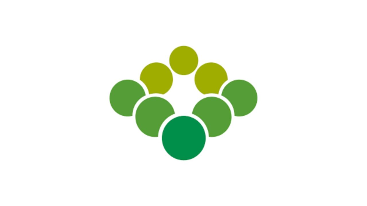 レインズを一般人が見ることはできません