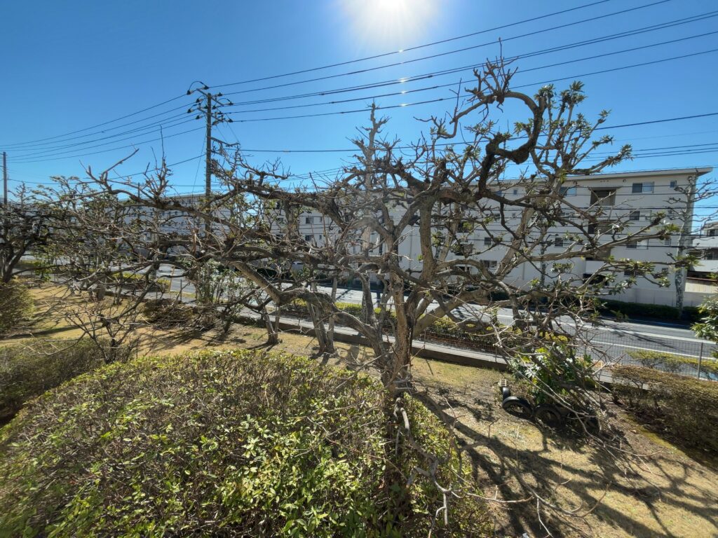 【リノベーションマンション】カミュ祐光苑A棟1階|1,490万円