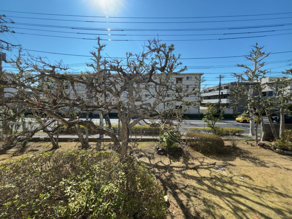 【成約済】カミュ祐光苑A棟1階