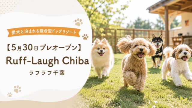 【2026年5月30日プレオープン】愛犬と泊まれる複合型ドッグリゾート「Ruff-Laugh Chiba（ラフラフ千葉）」（茂原市）