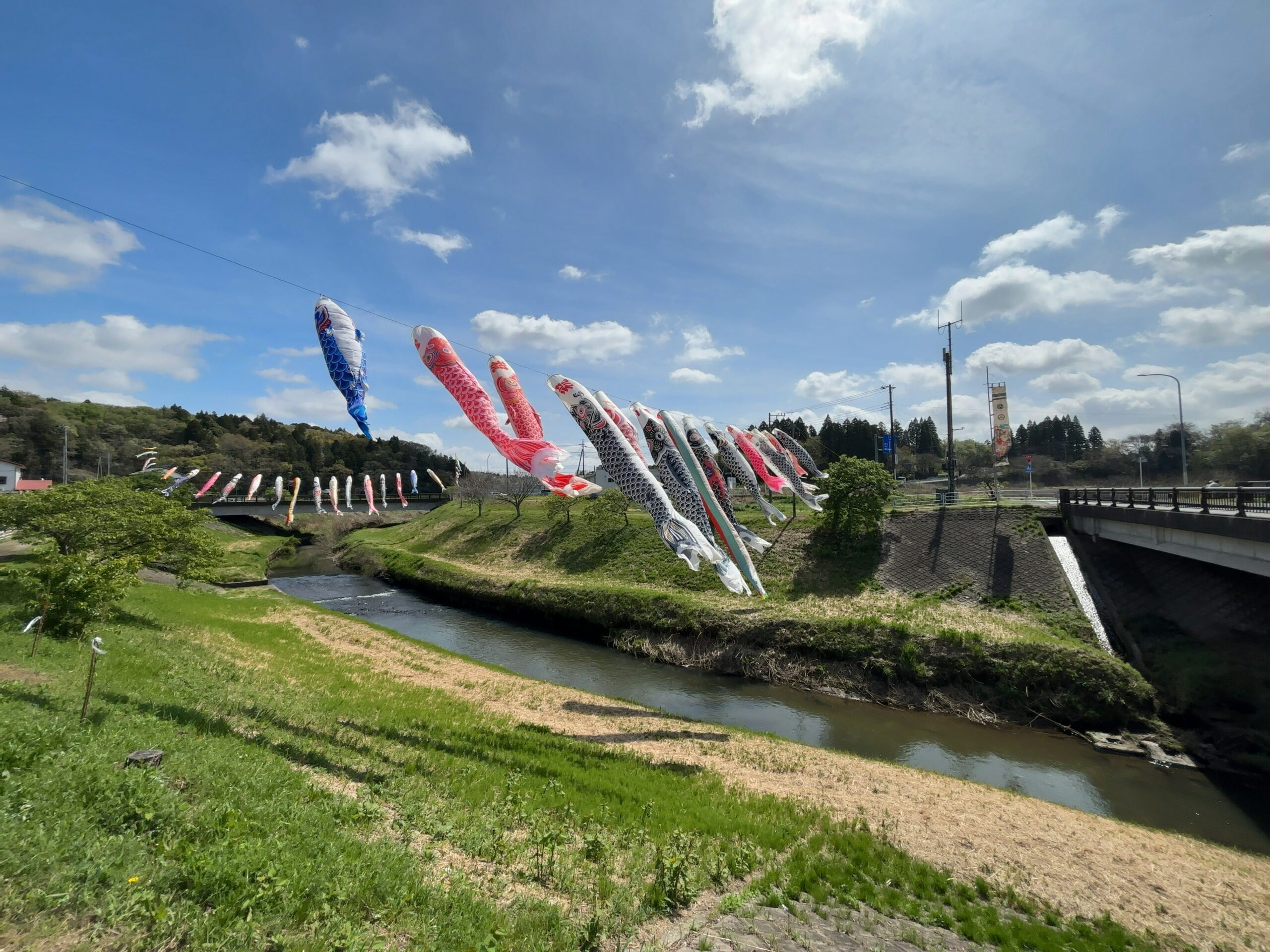 無料で楽しむGWの穴場スポット。市原市瀬又で鯉のぼり鑑賞