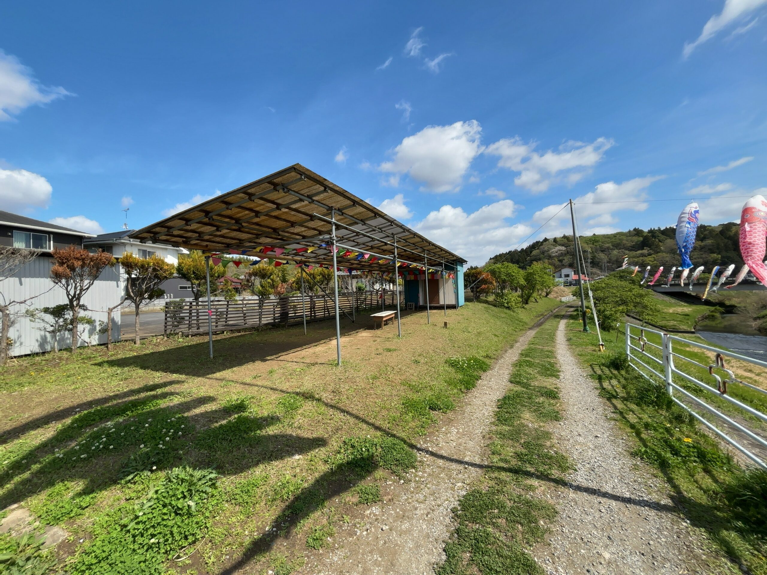 無料で楽しむGWの穴場スポット。市原市瀬又で鯉のぼり鑑賞