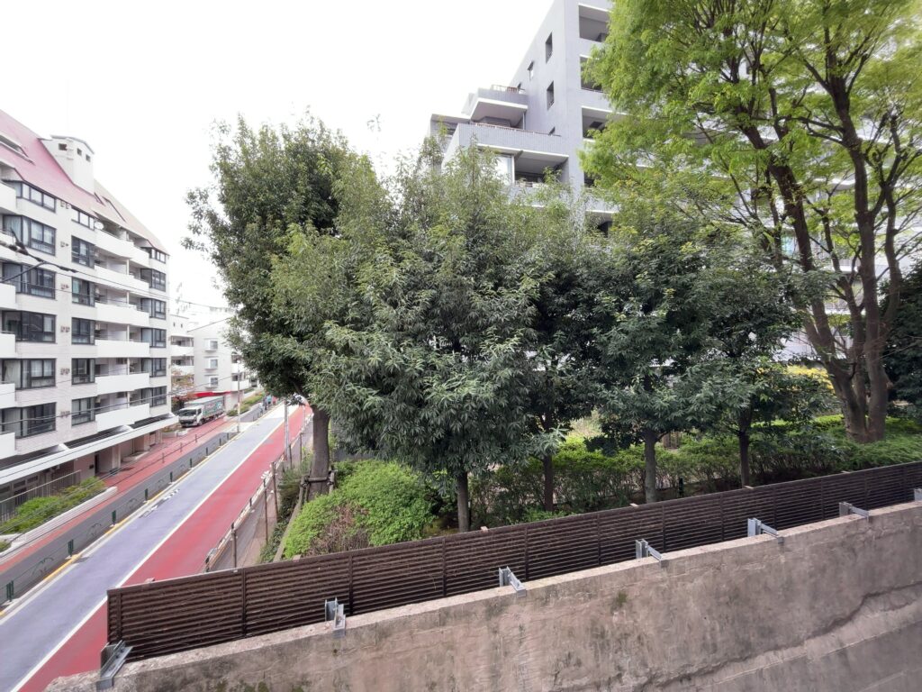 【仲介手数料無料】ヴェラハイツ新宿4階｜3,499万円（税込）