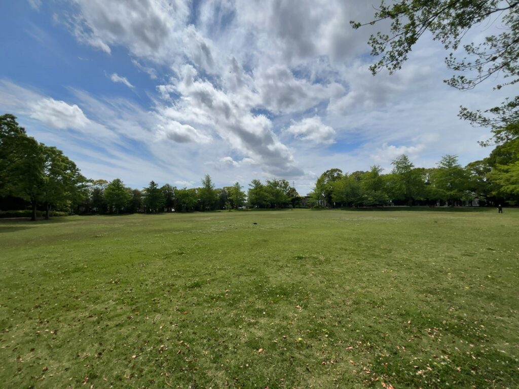 市原市公園紹介⑨君塚中央公園（君塚3丁目）
