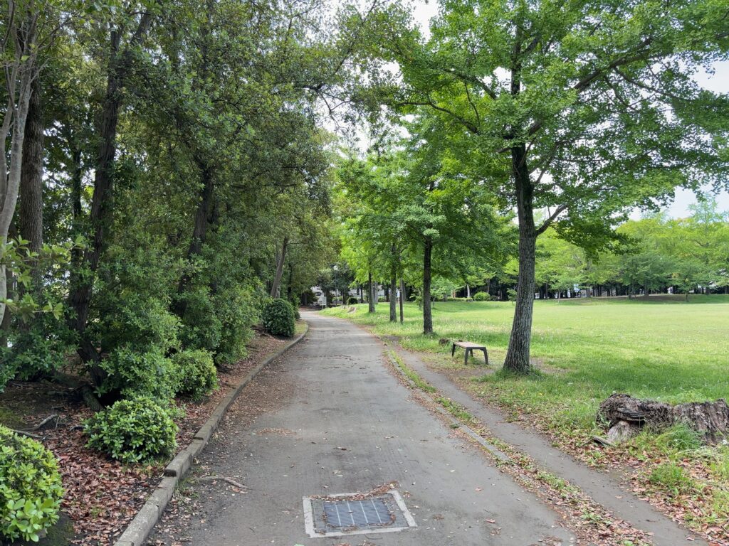 市原市公園紹介⑨君塚中央公園（君塚3丁目）