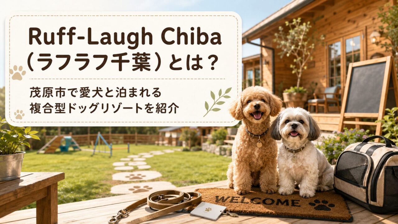 Ruff-Laugh Chiba（ラフラフ千葉）とは？茂原市で愛犬と泊まれる複合型ドッグリゾートを紹介
