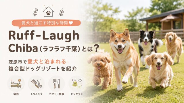 Ruff-Laugh Chiba（ラフラフ千葉）とは？茂原市で愛犬と泊まれる複合型ドッグリゾートを紹介