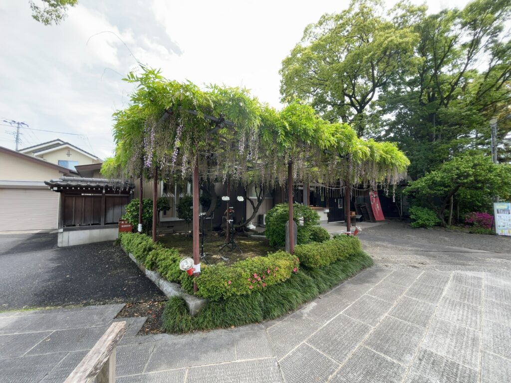 市原市五井｜大宮神社の藤棚