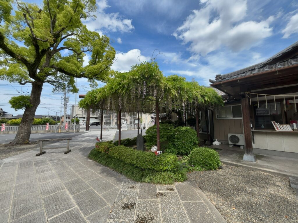 市原市五井｜大宮神社の藤棚
