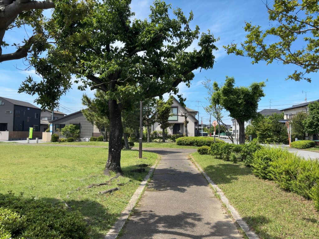 市原市公園紹介⑫中央公園（五井）