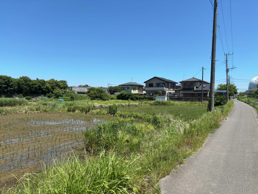 市原市若宮7丁目新築戸建の前面道路