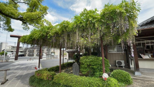 市原市五井｜大宮神社の藤棚