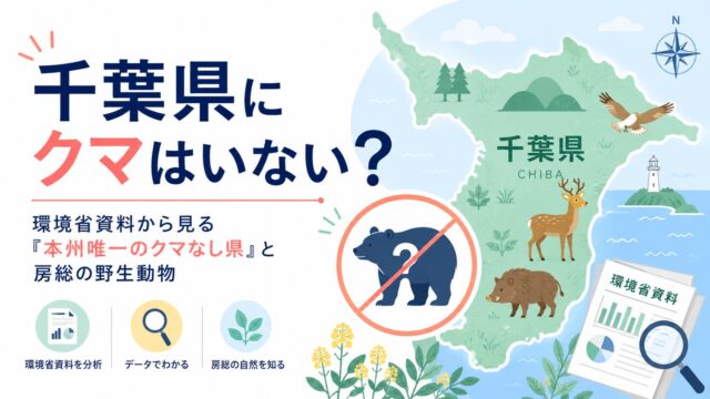 千葉県にクマはいない？環境省資料から見る「本州唯一のクマなし県」と房総の野生動物