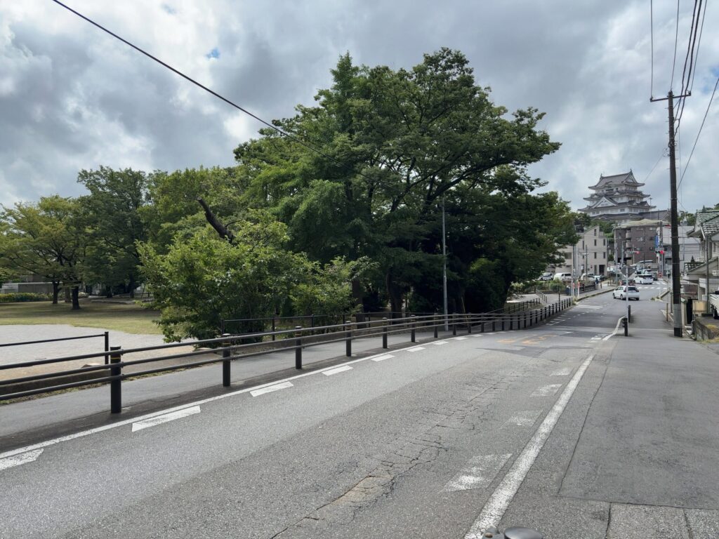 メゾン本町の周辺環境